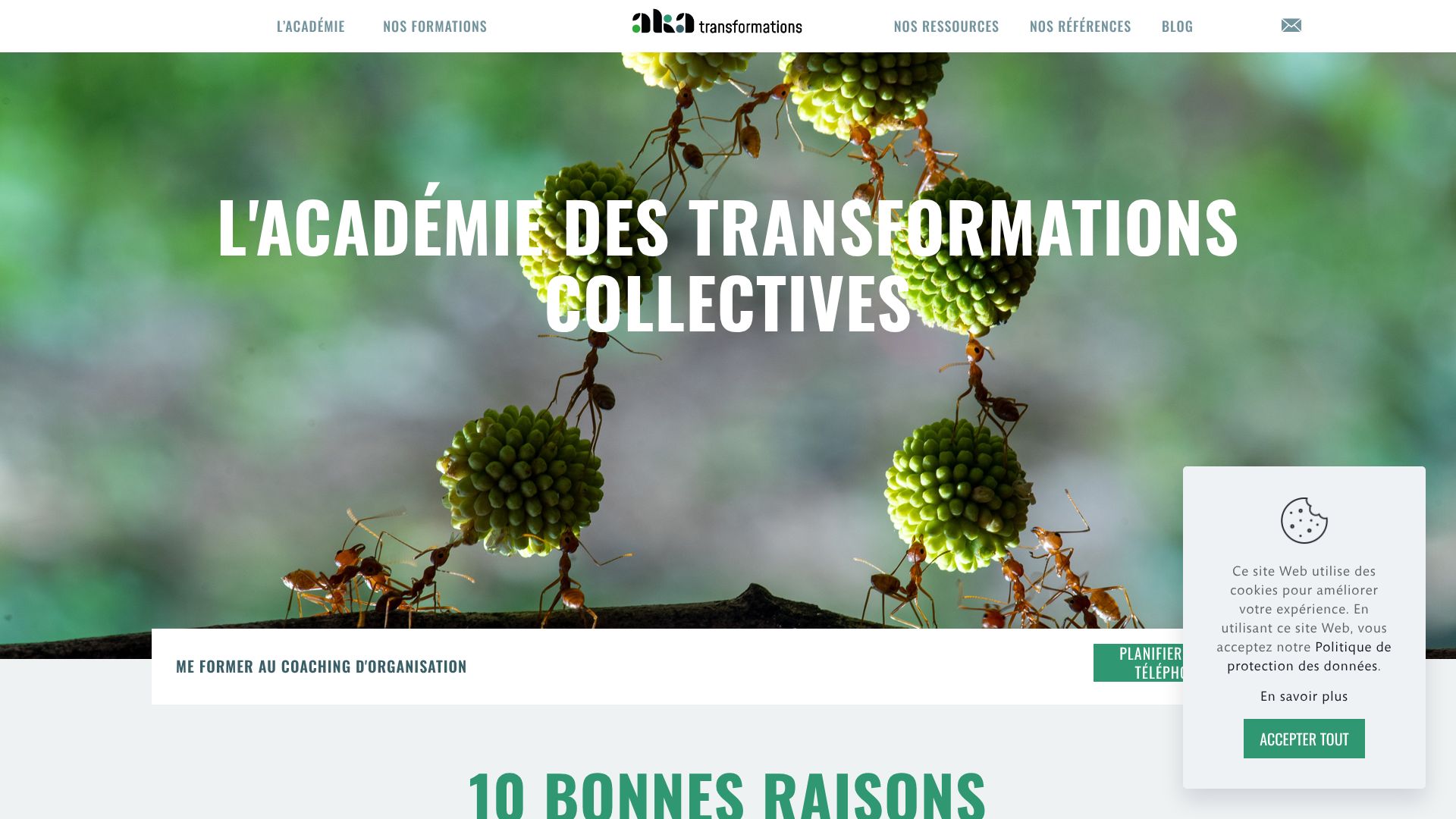 Coaching en organisation