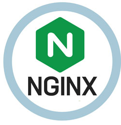 création-site-internet-nginx